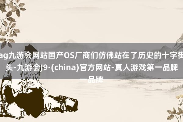 ag九游会网站国产OS厂商们仿佛站在了历史的十字街头-九游会J9·(china)官方网站-真人游戏第一品牌