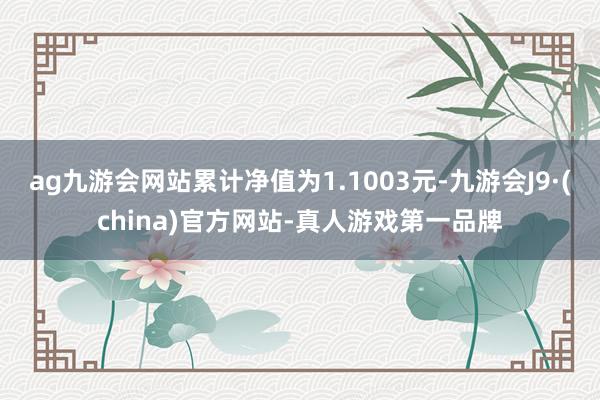 ag九游会网站累计净值为1.1003元-九游会J9·(china)官方网站-真人游戏第一品牌