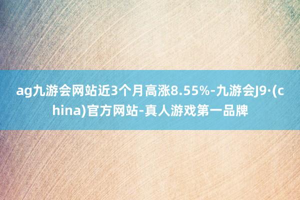 ag九游会网站近3个月高涨8.55%-九游会J9·(china)官方网站-真人游戏第一品牌