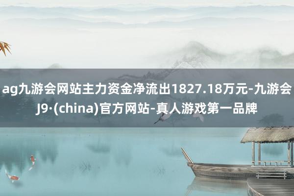 ag九游会网站主力资金净流出1827.18万元-九游会J9·(china)官方网站-真人游戏第一品牌